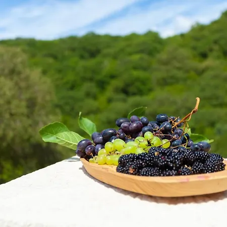 Eco Village Buljarica Appartamento *