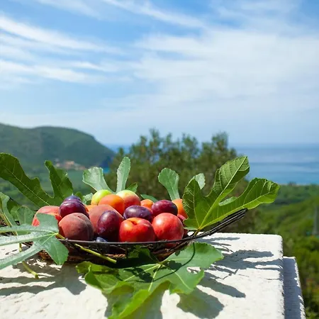 Apartament Eco Village Buljarica